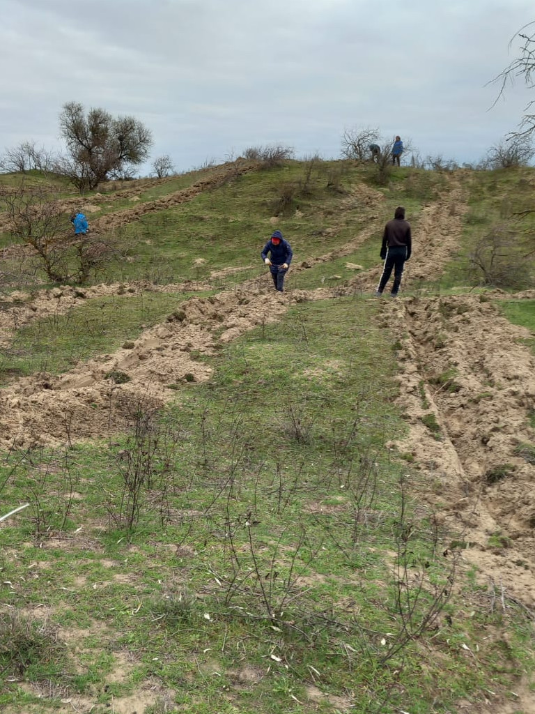 В Червленно-Бурунском участковом лесничестве ГКУ РД "Ногайское лесничество" работники ГКУ РД "Республиканские леса" совместно с лесниками провели  осенние лесовосстановительные работы