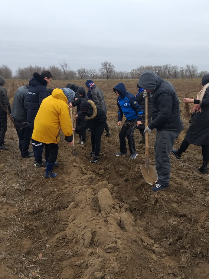 Даглесхоз выполнил задание по весенним лесовосстановительным работам в рамках нацпроекта