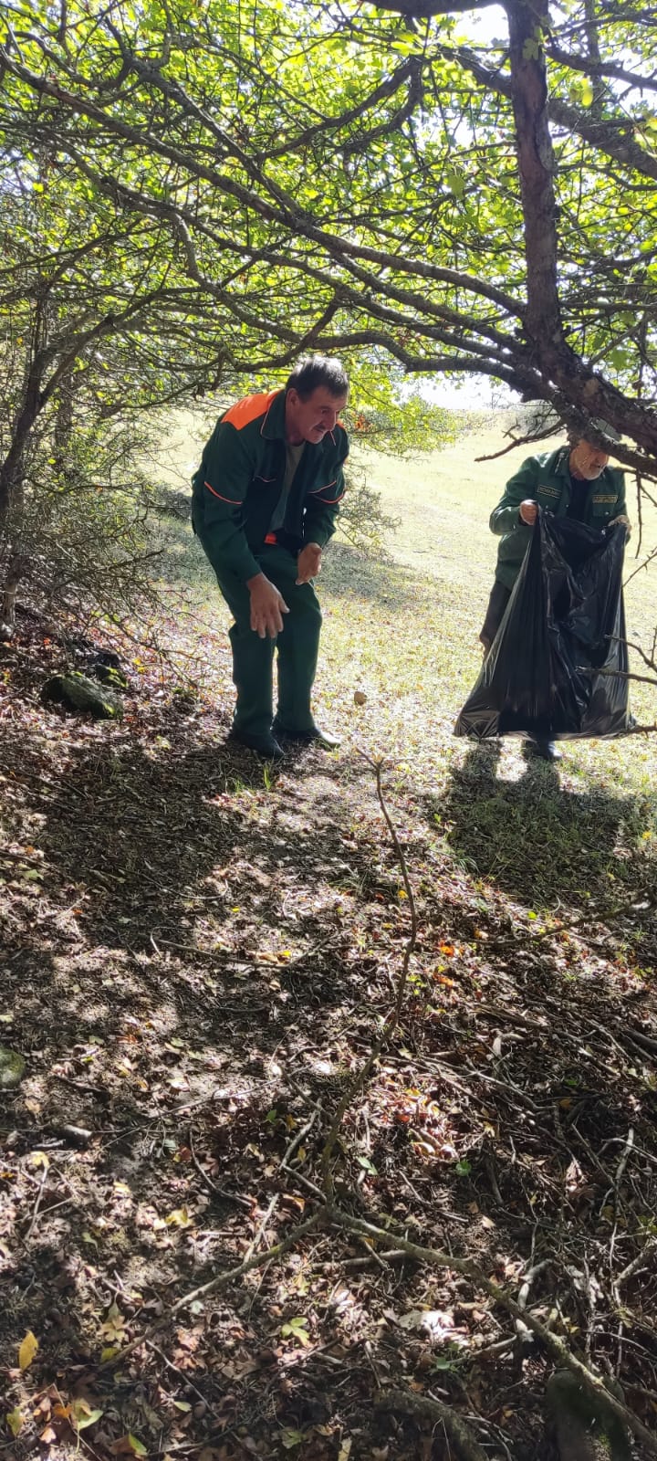 Субботник Цунта