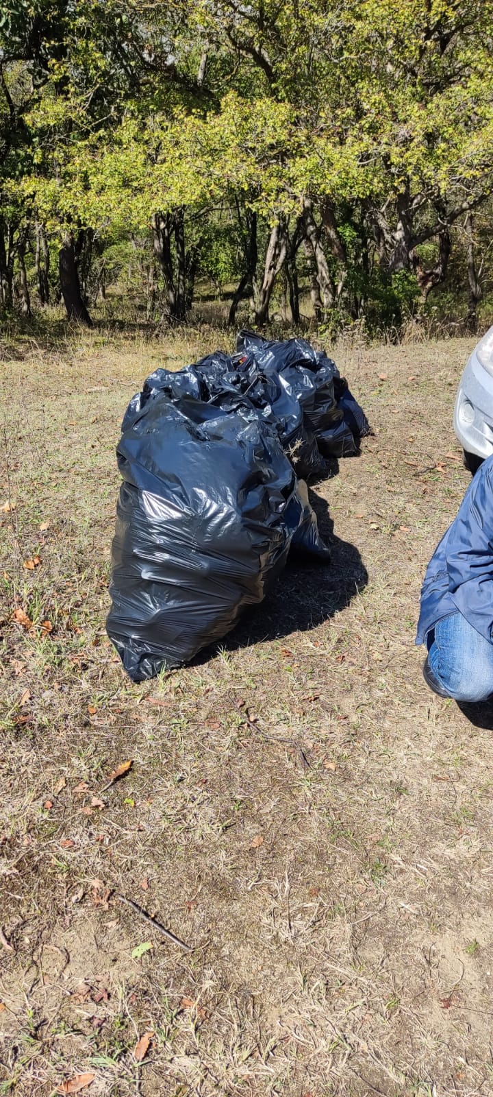 Субботник Цунта