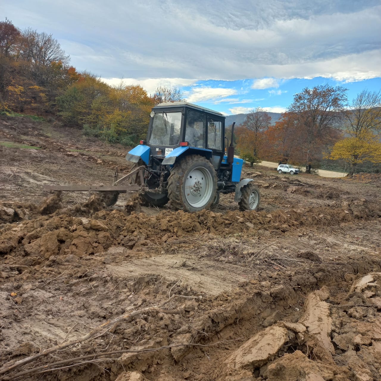 Посев семян Табасаран