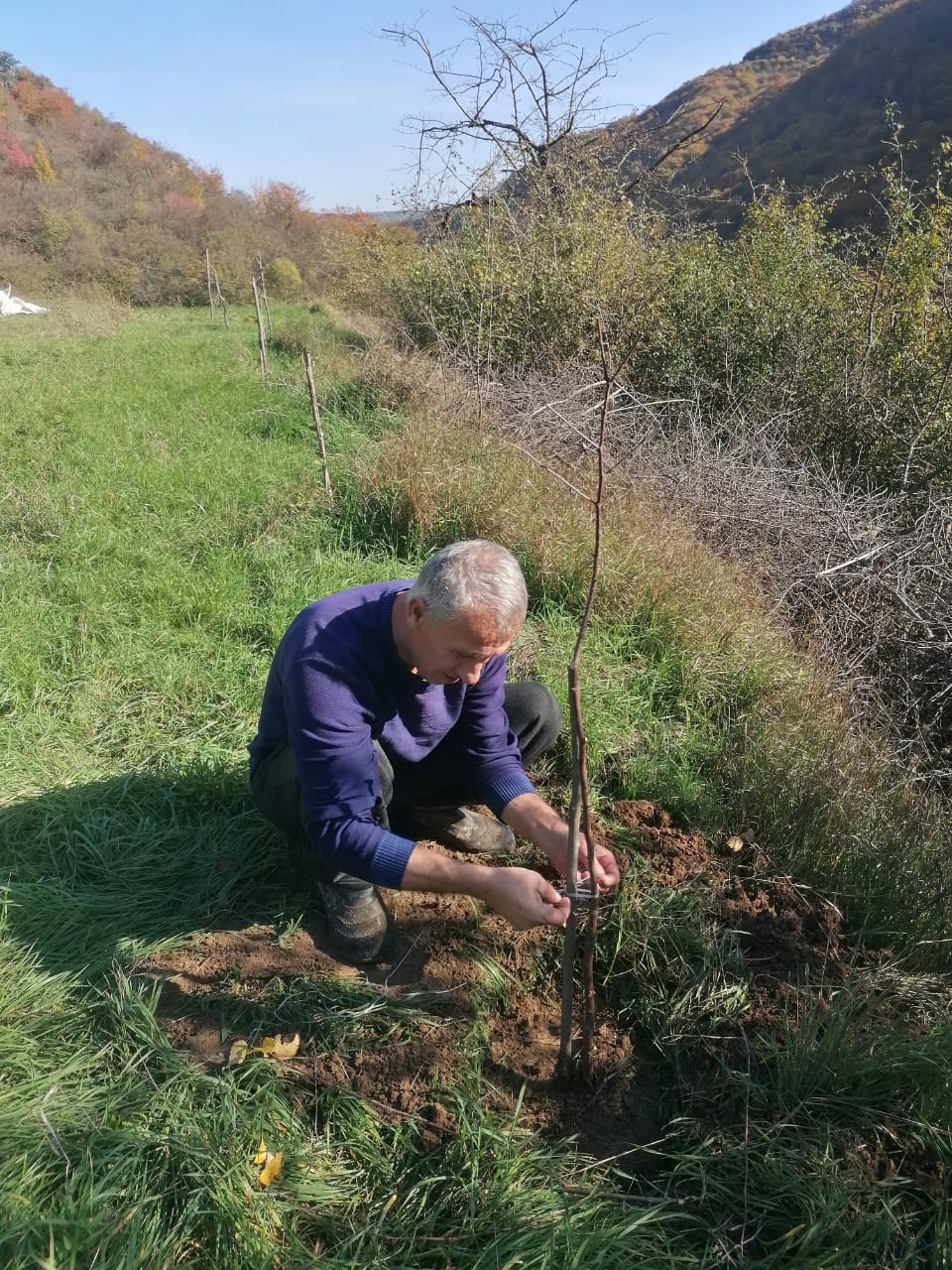 Сохраним лес