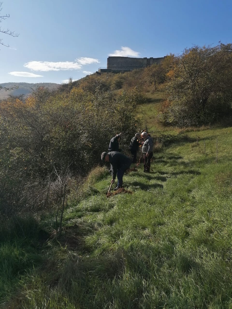 Сохраним лес