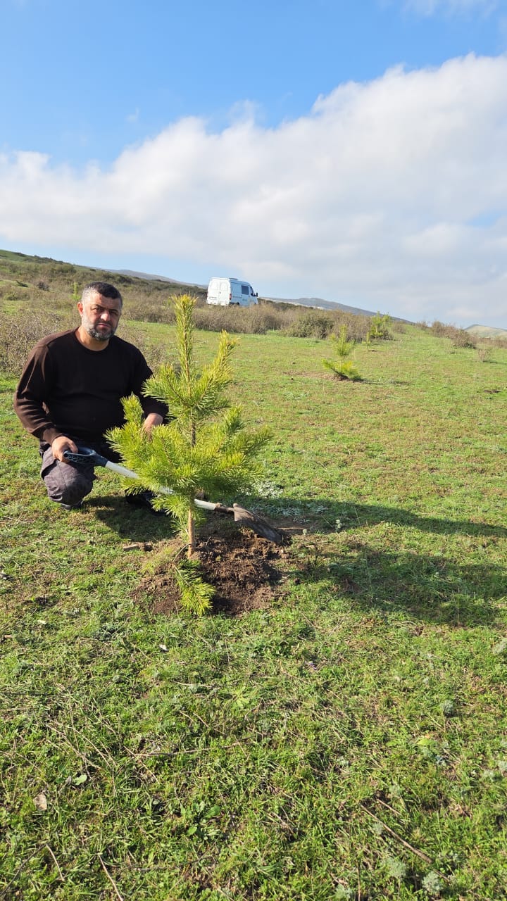 Сохраним лес