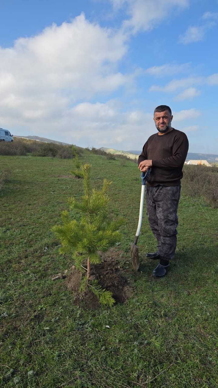 Сохраним лес