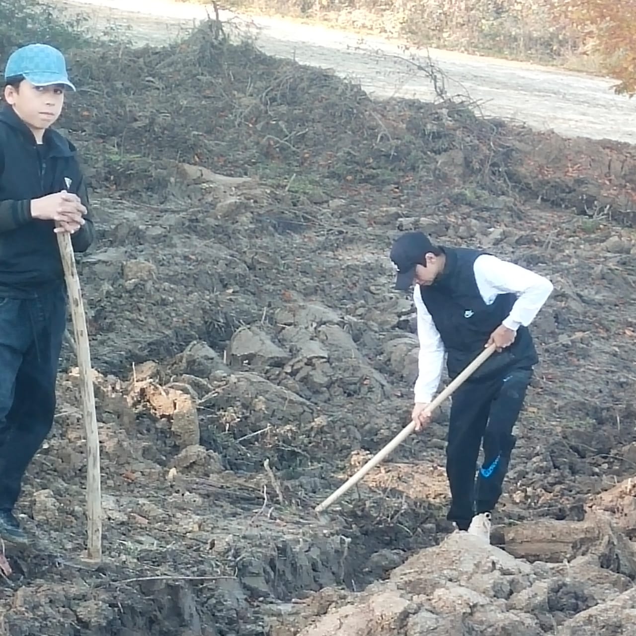 Нацпроект Табасаранское лесничество