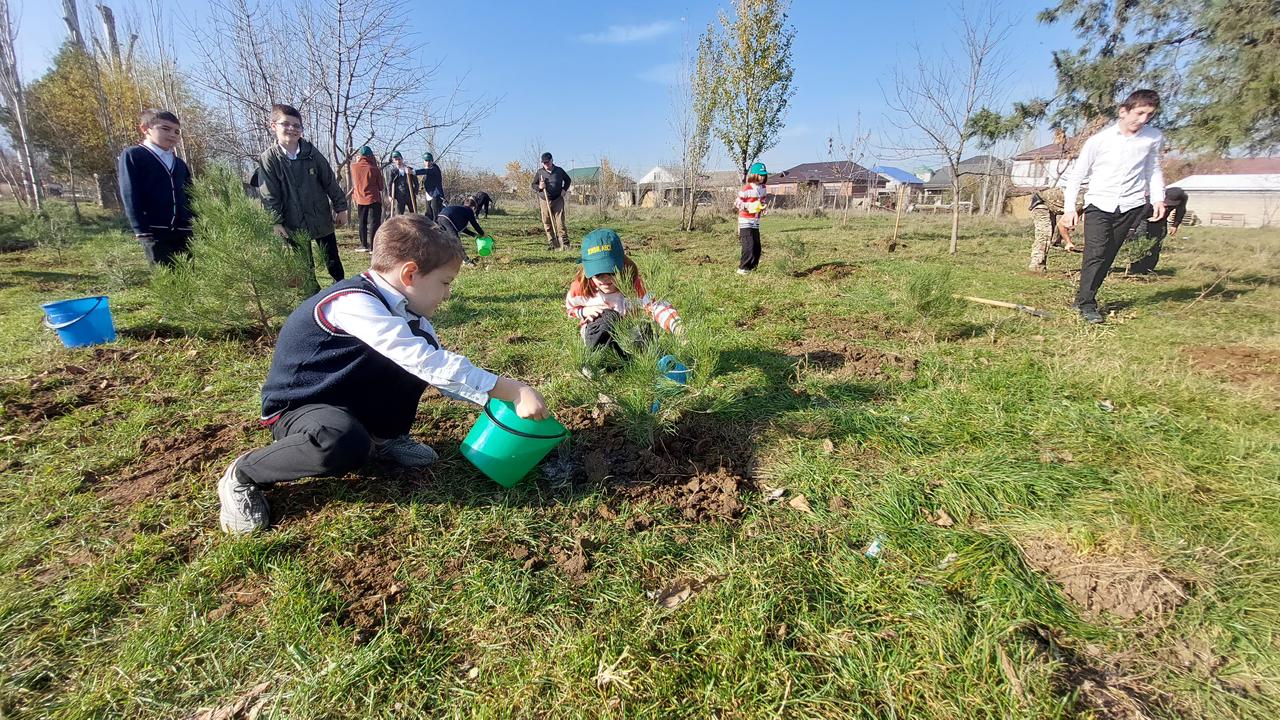 Сохраним лес Махачкала