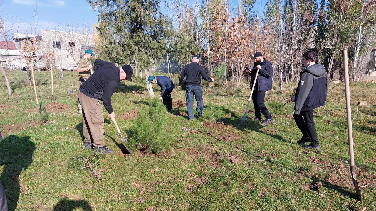 Сохраним лес Махачкала