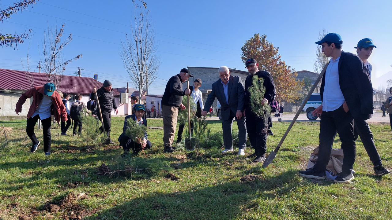 Сохраним лес Махачкала