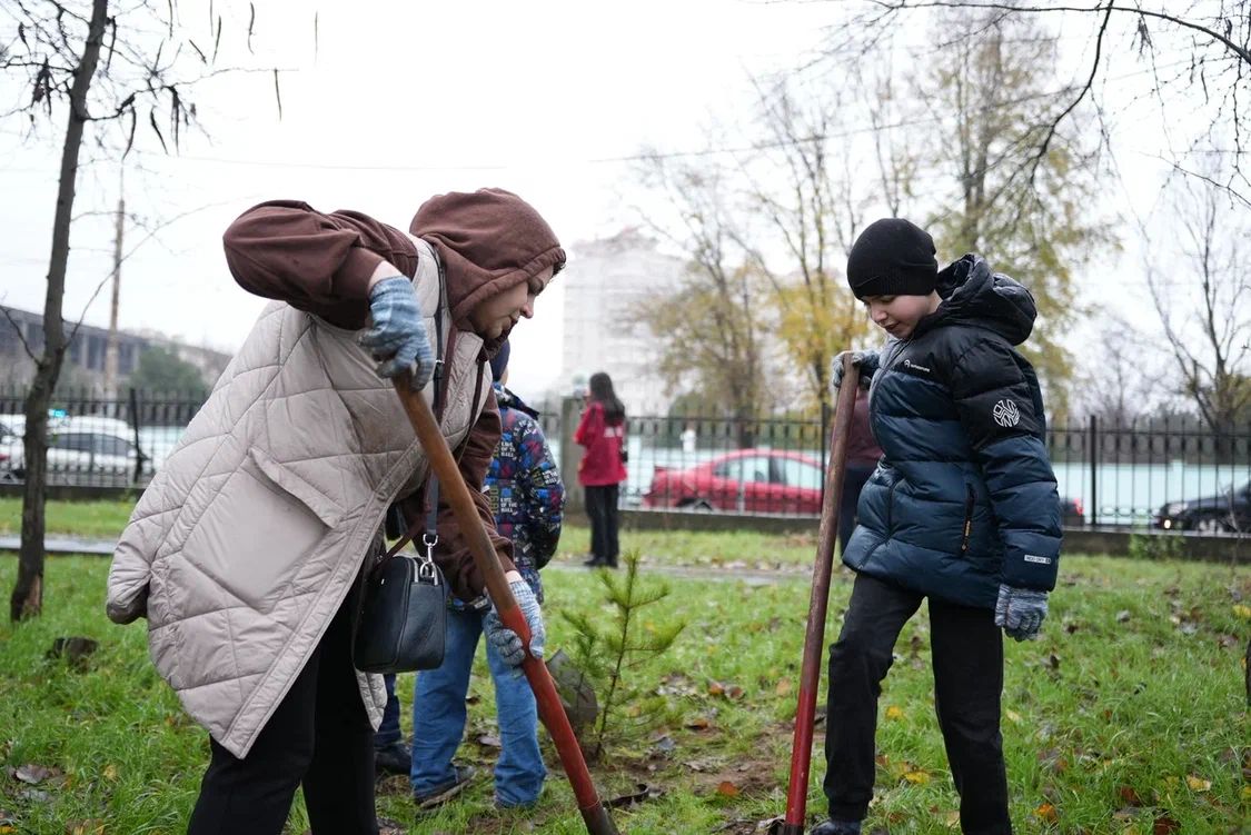 Акция Сохраним лес