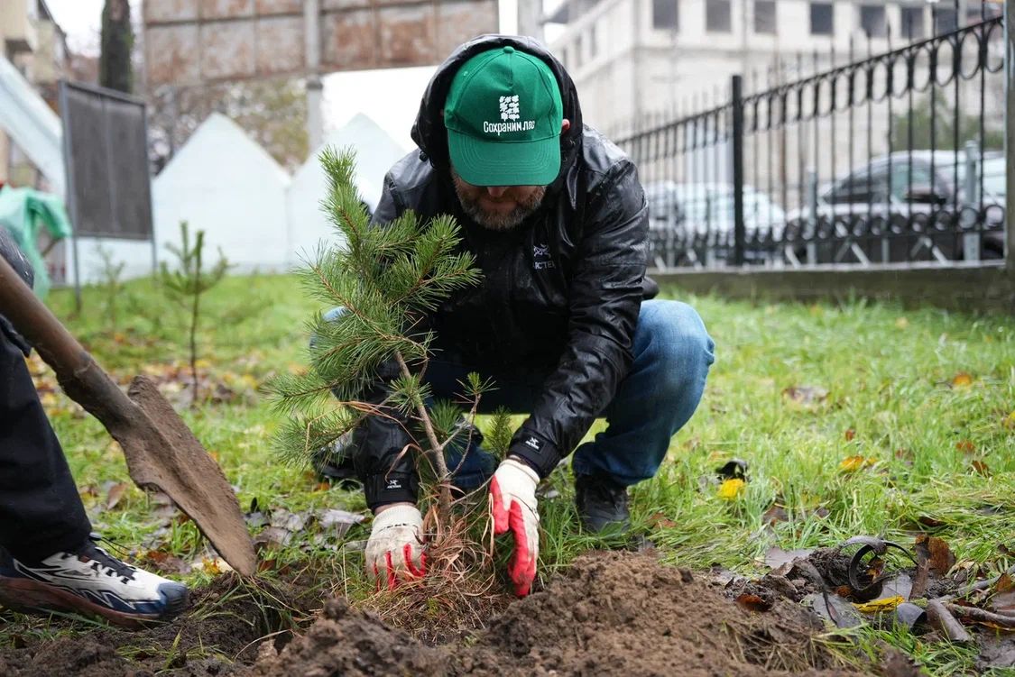 Акция Сохраним лес