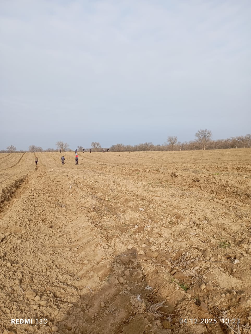 Нацпроект Ногай