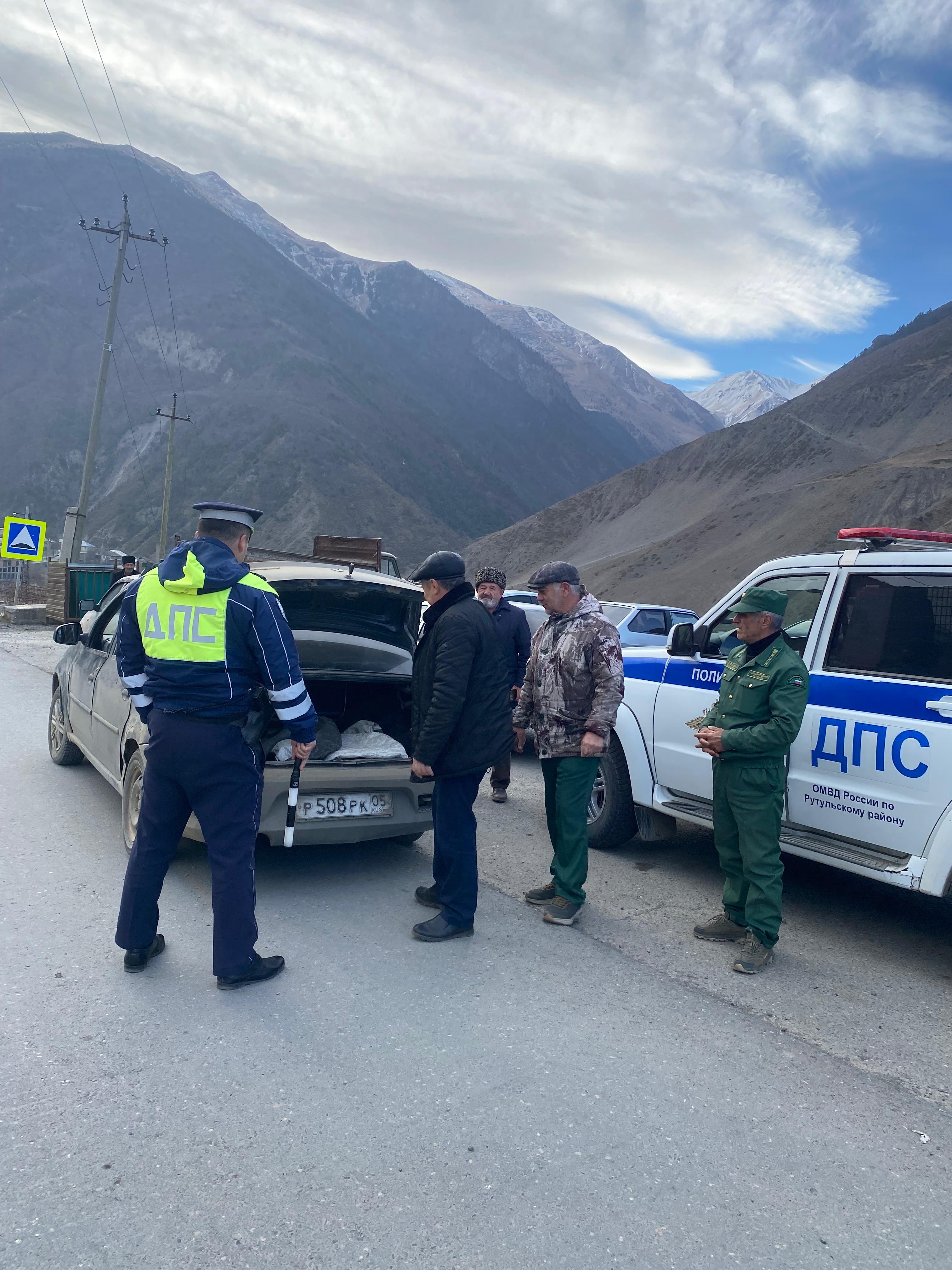 Операция елки