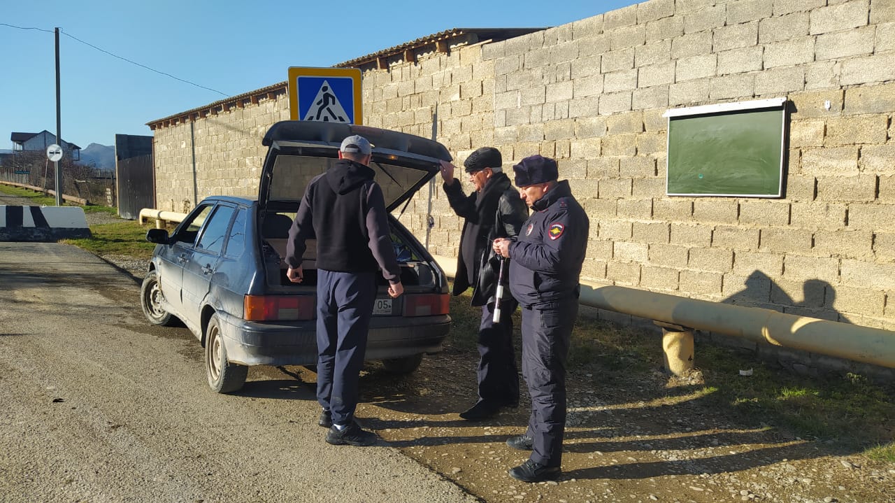 Операция елка