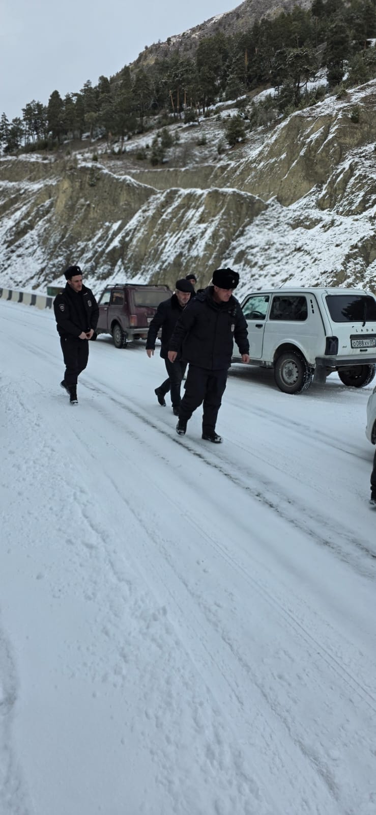 Операция елка Ботлихское лесничество