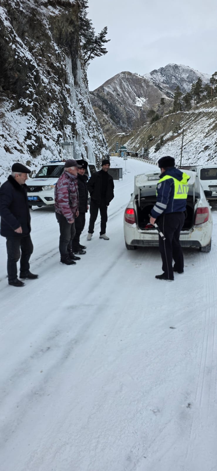 Операция елка Ботлихское лесничество