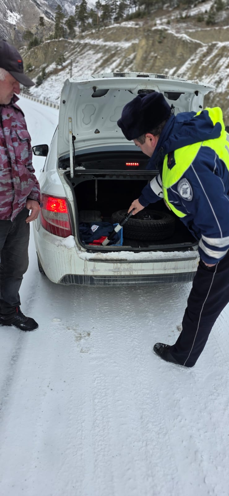 Операция елка Ботлихское лесничество