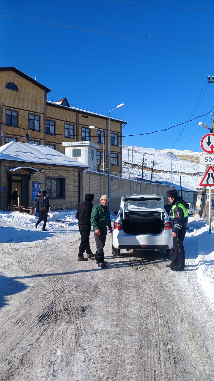 Операция елка Ботлихское лесничество