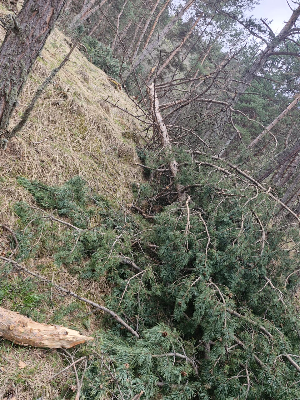 Патрулирование Гуниб