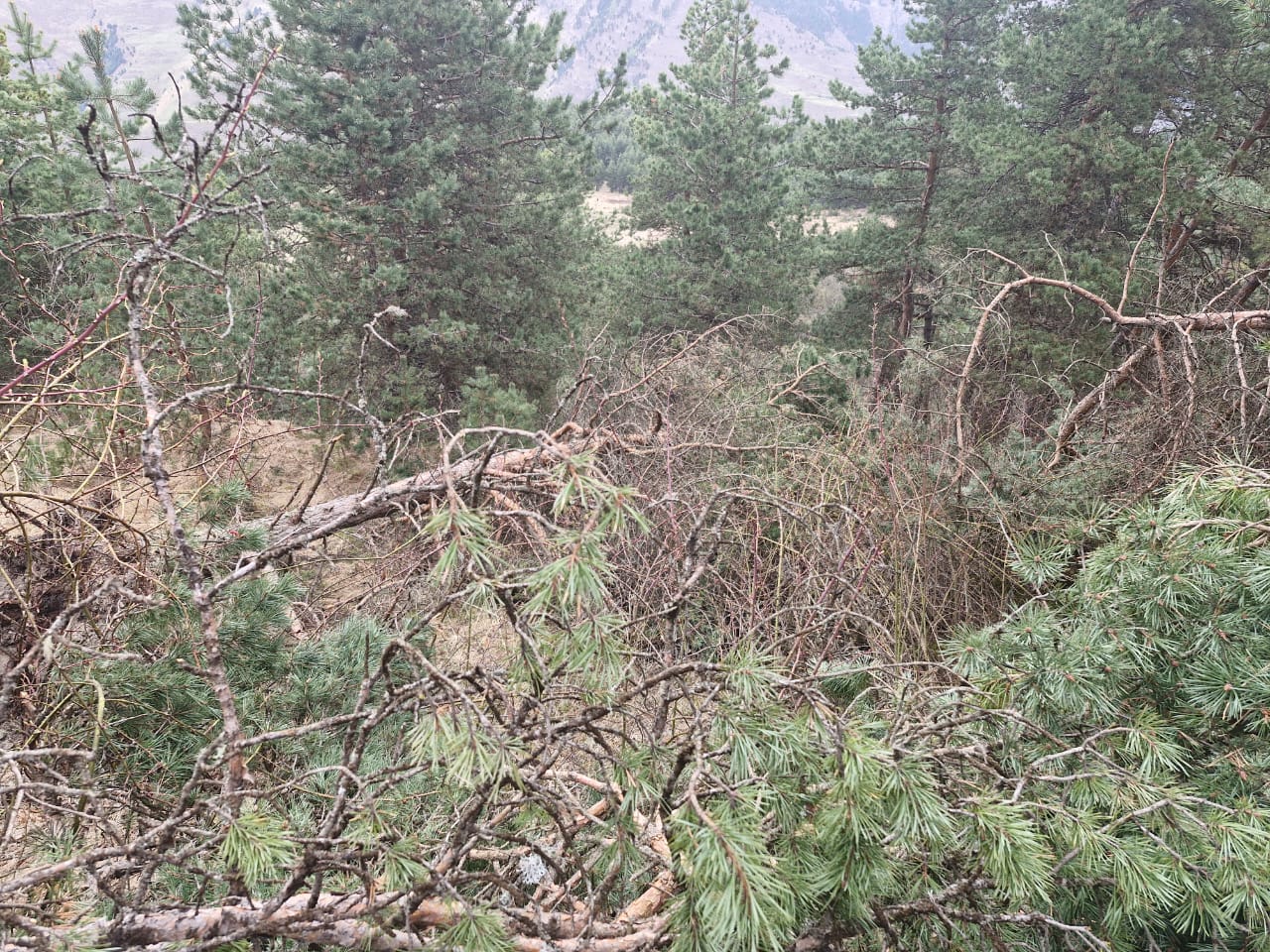 Патрулирование Гуниб