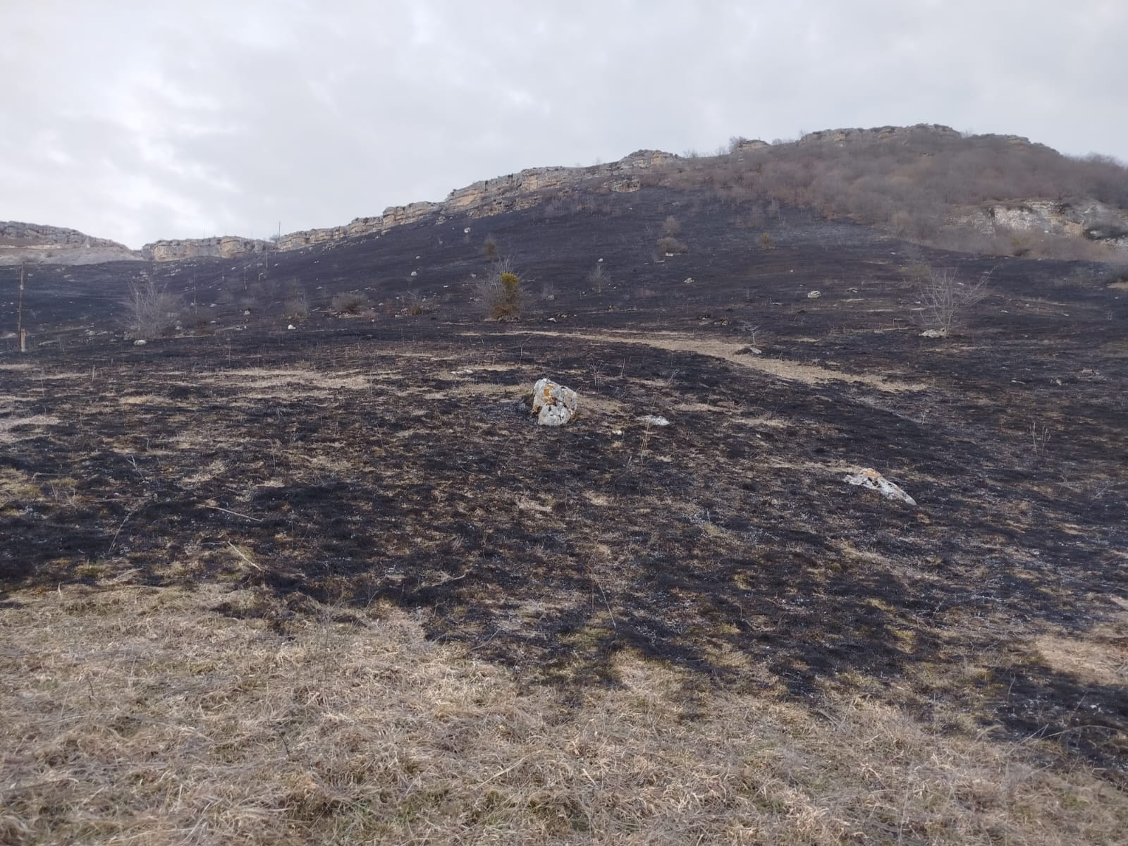 Патрулирование Хивское лесничество