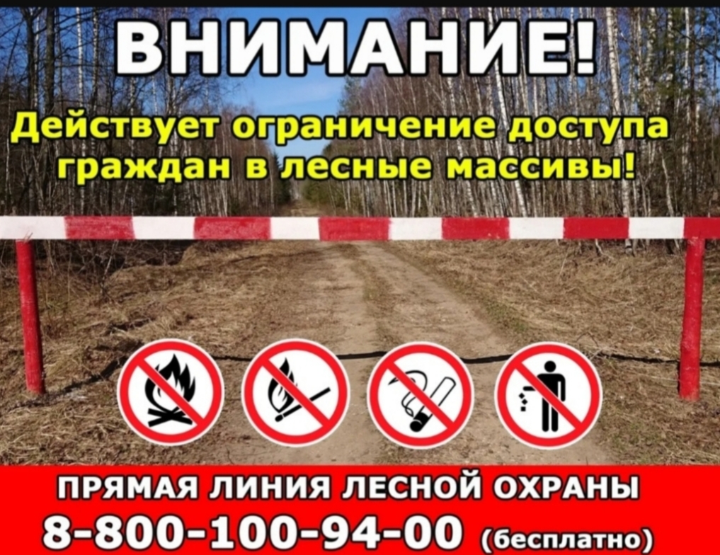 Ограничения посещения лесного массива